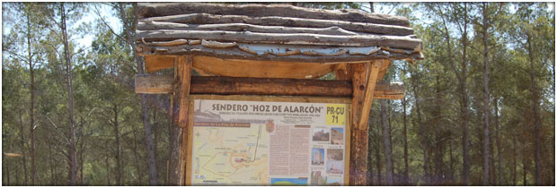 Puertas y Murallas